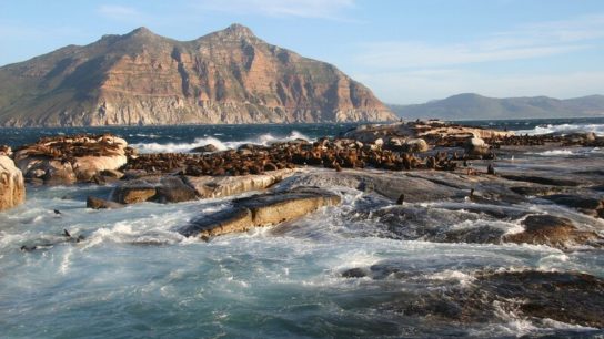 The Economic Benefits of Preserving 30% of Nature